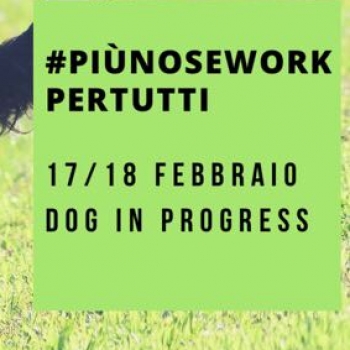 Immagine evento