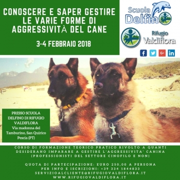 Immagine evento