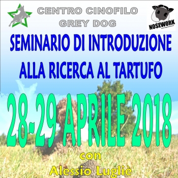Immagine evento
