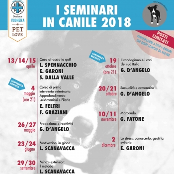 Immagine evento