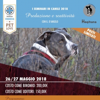 Immagine evento