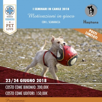 Immagine evento