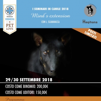 Immagine evento
