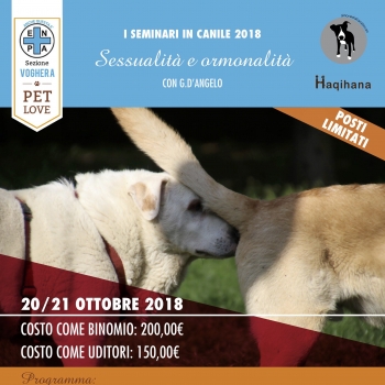 Immagine evento