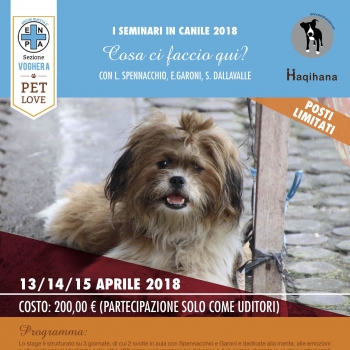Immagine evento