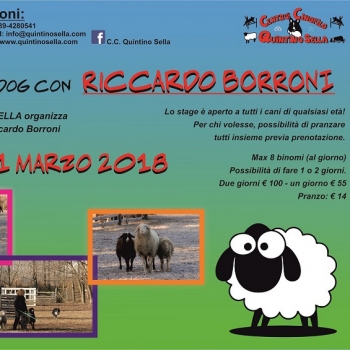 Immagine evento