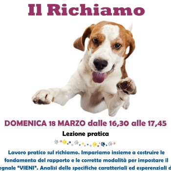 Immagine evento