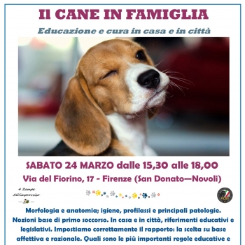 Immagine evento