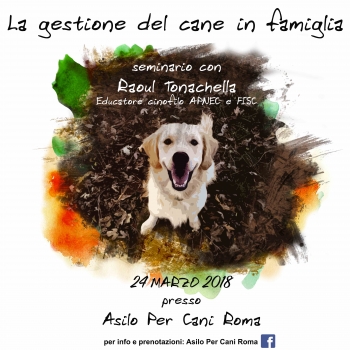 Immagine evento