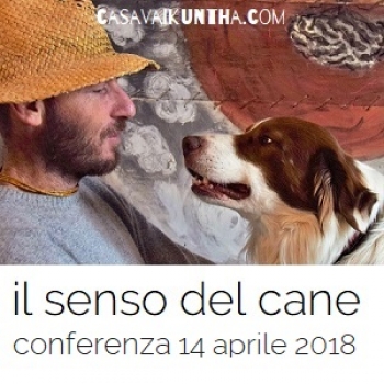 Immagine evento