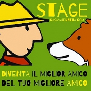 Immagine evento
