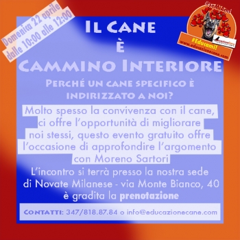 Immagine evento