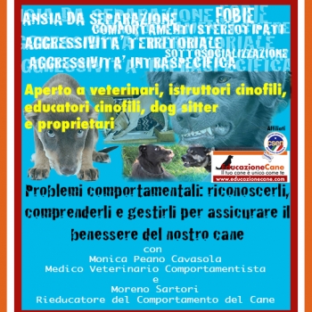 Immagine evento