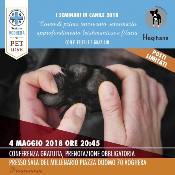 Immagine evento