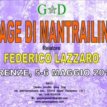 Immagine evento