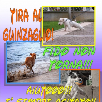 Immagine evento