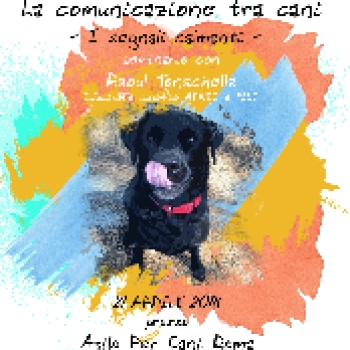 Immagine evento