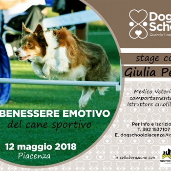Immagine evento