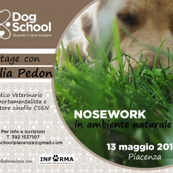 Immagine evento