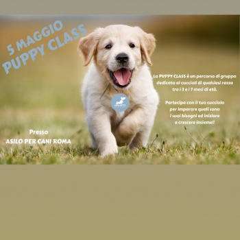 Immagine evento