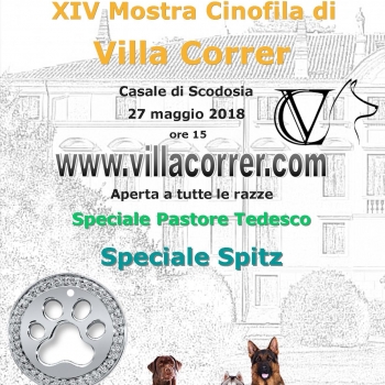 Immagine evento
