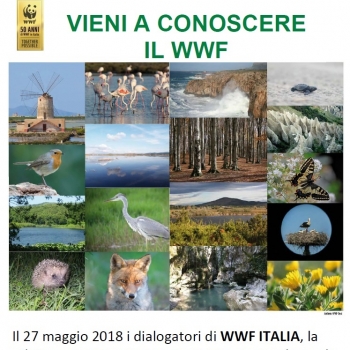 Immagine evento