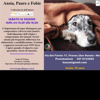 Immagine evento