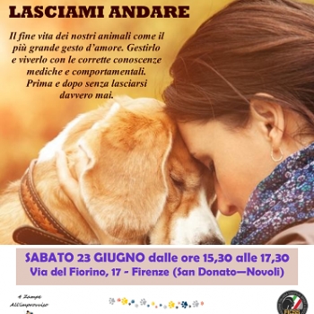 Immagine evento