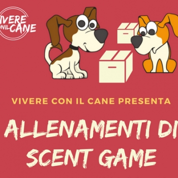 Immagine evento