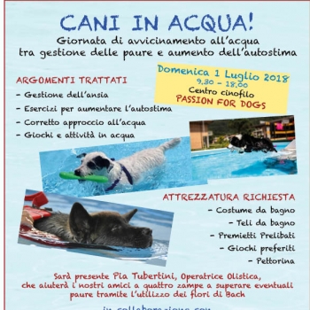 Immagine evento