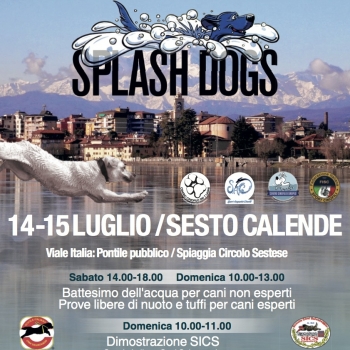 Immagine evento