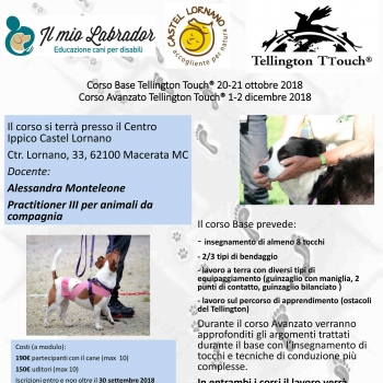 Immagine evento