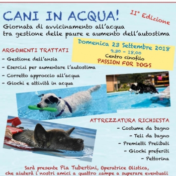 Immagine evento
