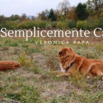 Immagine evento