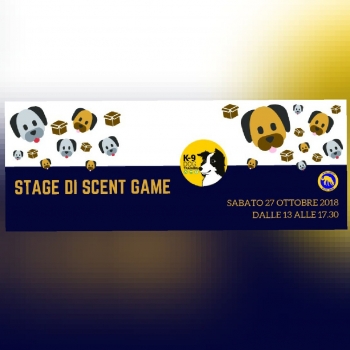 Immagine evento