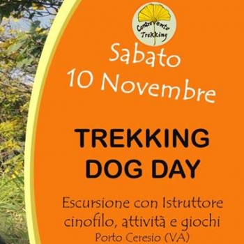 Immagine evento
