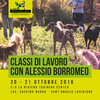 Immagine evento