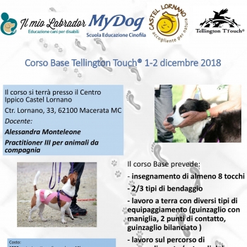 Immagine evento