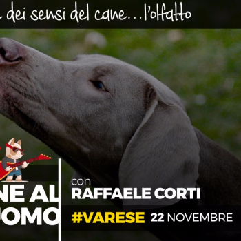Immagine evento