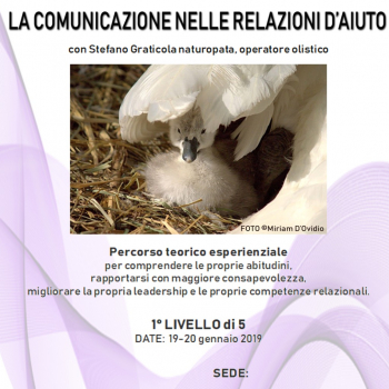 Immagine evento