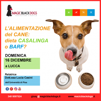 Immagine evento