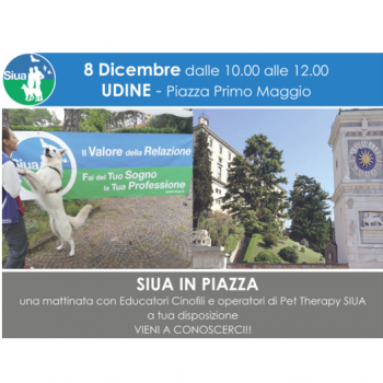 Immagine evento