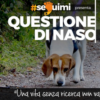 Immagine evento