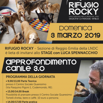 Immagine evento