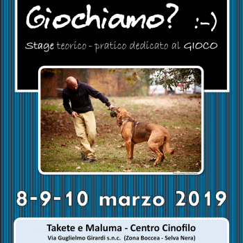 Immagine evento