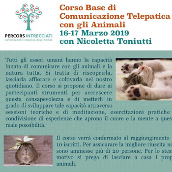 Immagine evento