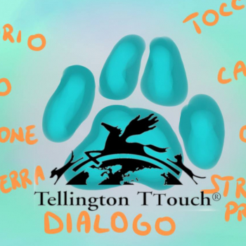 Immagine evento