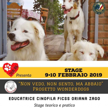 Immagine evento