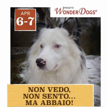 Immagine evento