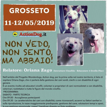 Immagine evento